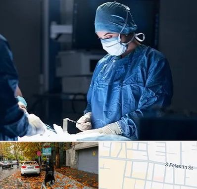 جراح زنان و زایمان در خیابان فلسطین