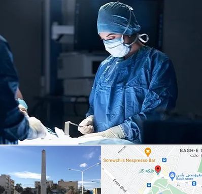 جراح زنان و زایمان در فلکه گاز شیراز