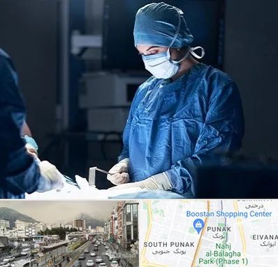 جراح زنان و زایمان در پونک