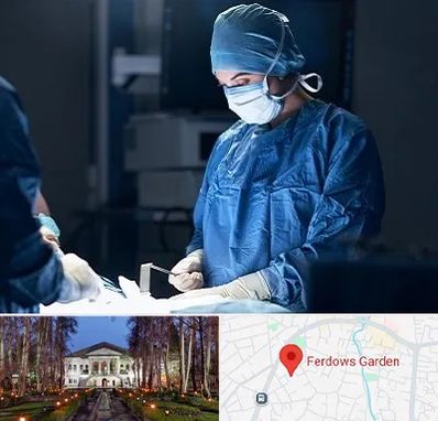 جراح زنان و زایمان در باغ فردوس