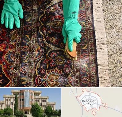 فرش شویی در دهدشت