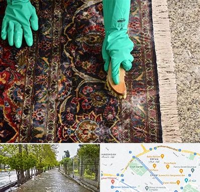 فرش شویی در خیابان ارم شیراز 