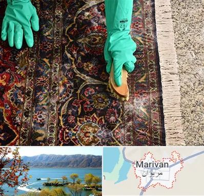 فرش شویی در مریوان