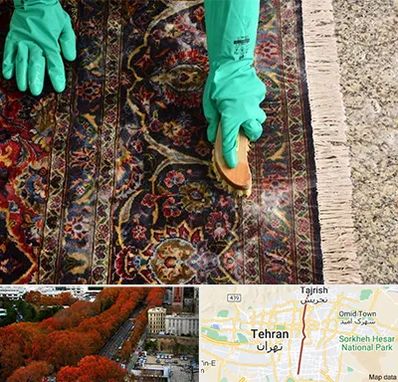 فرش شویی در ولیعصر 