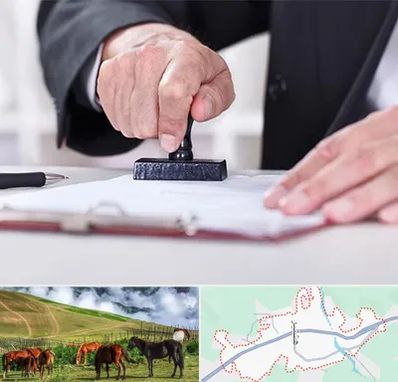 دفترخانه در تالش