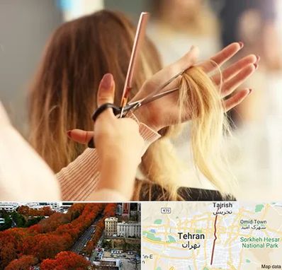 آموزشگاه زیبایی در ولیعصر 