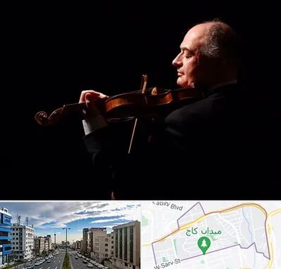 استاد ویولن در سعادت آباد 