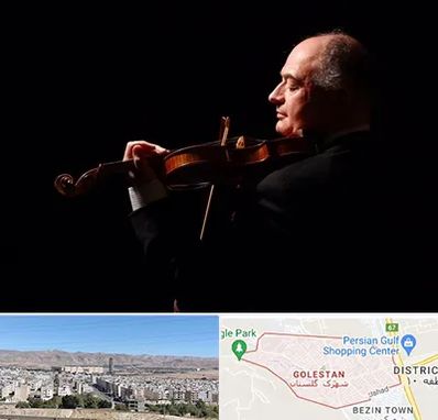 استاد ویولن در شهرک گلستان شیراز 