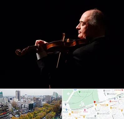 استاد ویولن در بلوار کشاورز 