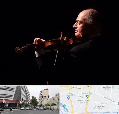 استاد ویولن در بلوار فردوس 
