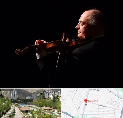 استاد ویولن در بلوار تعاون