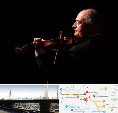 استاد ویولن در پارک وی 