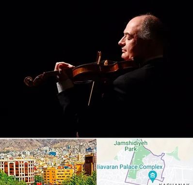 استاد ویولن در نیاوران 
