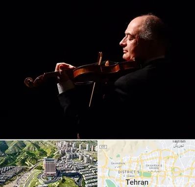 استاد ویولن در شمال تهران 