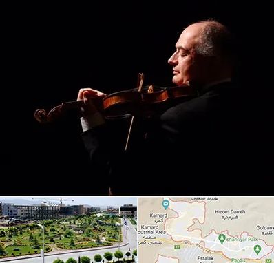 استاد ویولن در پردیس