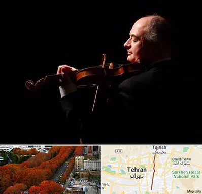 استاد ویولن در ولیعصر 