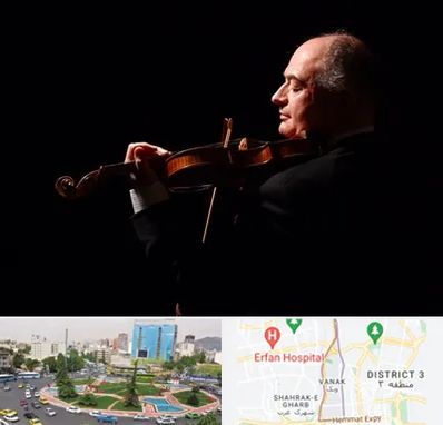 استاد ویولن در ونک 