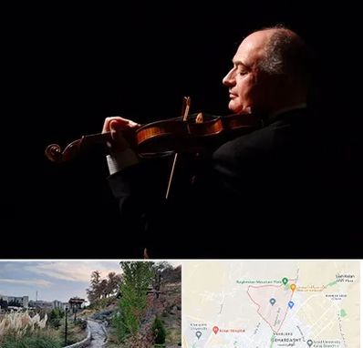 استاد ویولن در باغستان کرج 