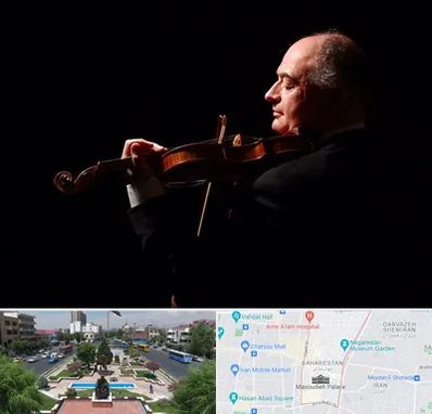 استاد ویولن در بهارستان 