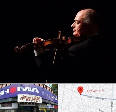 استاد ویولن در امین حضور