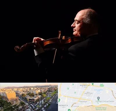 استاد ویولن در تهرانپارس 