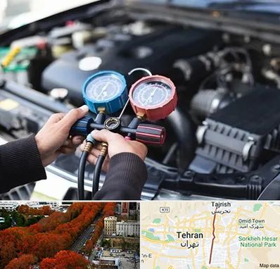 شارژ کولر خودرو در ولیعصر 