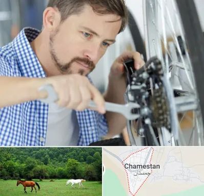 تعمیر صندلی چرخدار در چمستان