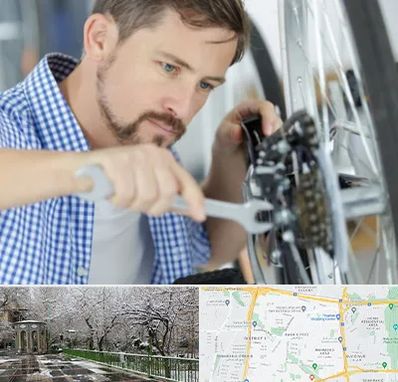 تعمیر صندلی چرخدار در باغ فیض 