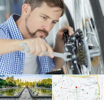 تعمیر صندلی چرخدار در سرسبز 