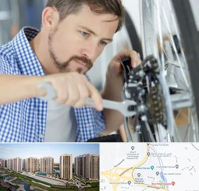 تعمیر صندلی چرخدار در المپیک