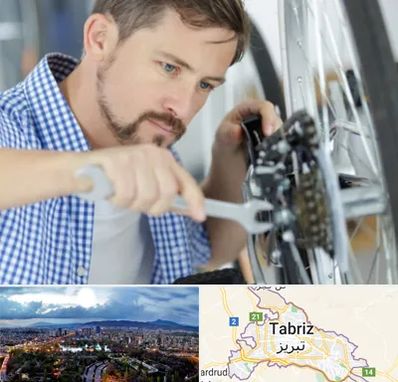 تعمیر صندلی چرخدار در تبریز