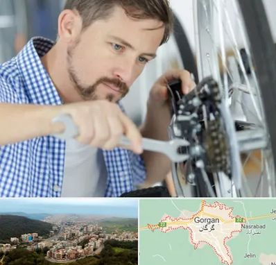 تعمیر صندلی چرخدار در گرگان