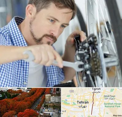 تعمیر صندلی چرخدار در ولیعصر 