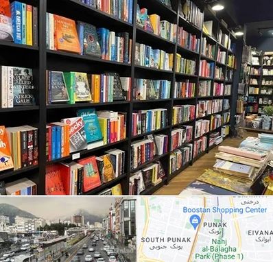 انتشارات در پونک 