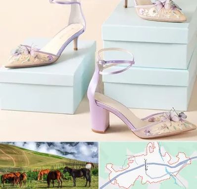 فروشگاه کفش مجلسی در تالش