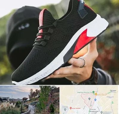 کفش اسپورت مردانه در باغستان کرج 