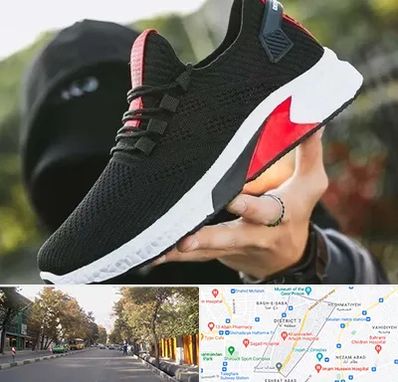 کفش اسپورت مردانه در شریعتی 
