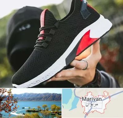 کفش اسپورت مردانه در مریوان