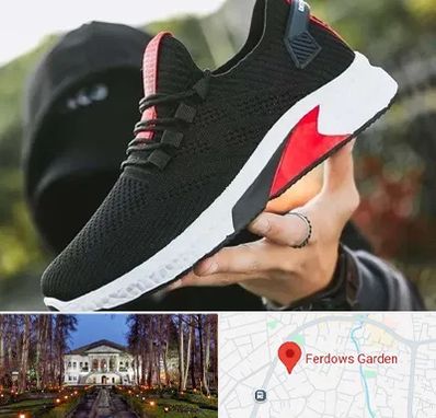 کفش اسپورت مردانه در باغ فردوس