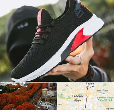 کفش اسپورت مردانه در ولیعصر 