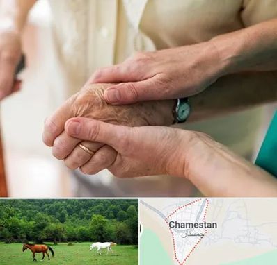 نگهداری سالمندان در چمستان