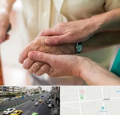 نگهداری سالمندان در خیابان دامپزشکی