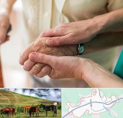 نگهداری سالمندان در تالش