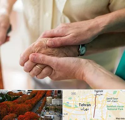 نگهداری سالمندان در ولیعصر 