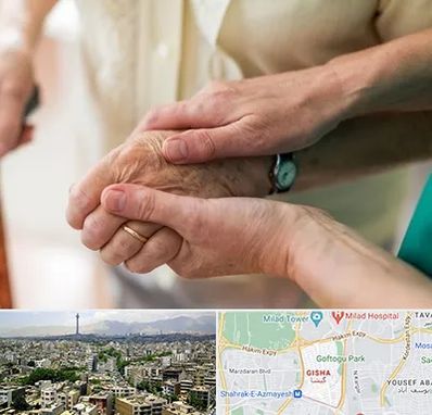 نگهداری سالمندان در گیشا 