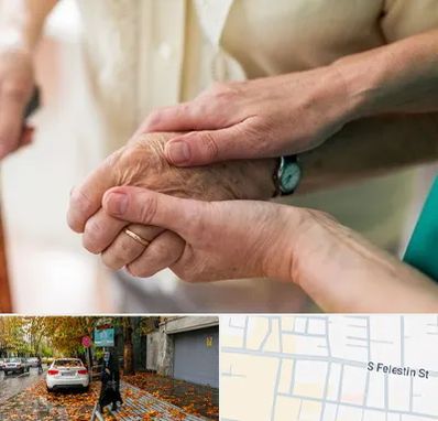 نگهداری سالمندان در خیابان فلسطین