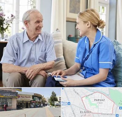 پرستار سالمند در پرواز تبریز