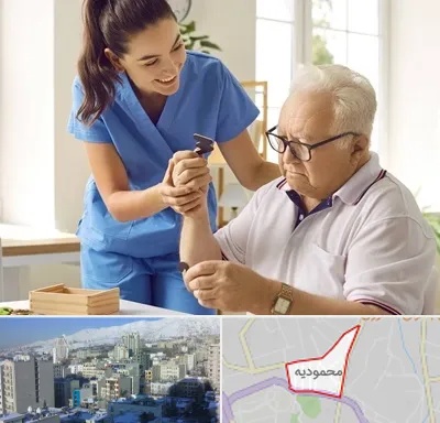 مراقبت از سالمند در محمودیه