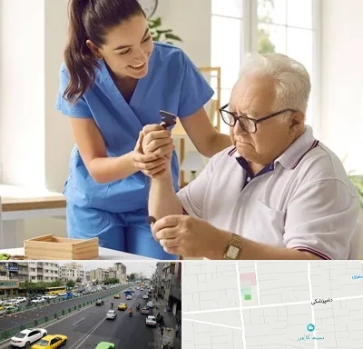 مراقبت از سالمند در خیابان دامپزشکی