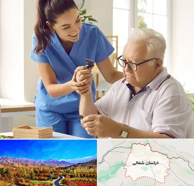 مراقبت از سالمند در خراسان شمالی